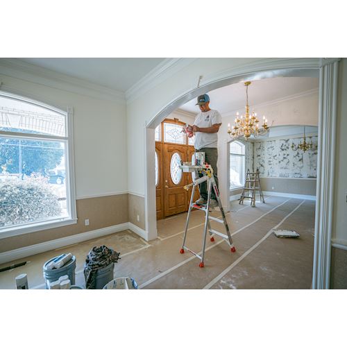 Little Giant® Paint Pro