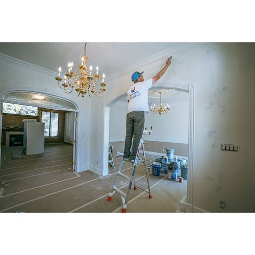 Little Giant® Paint Pro