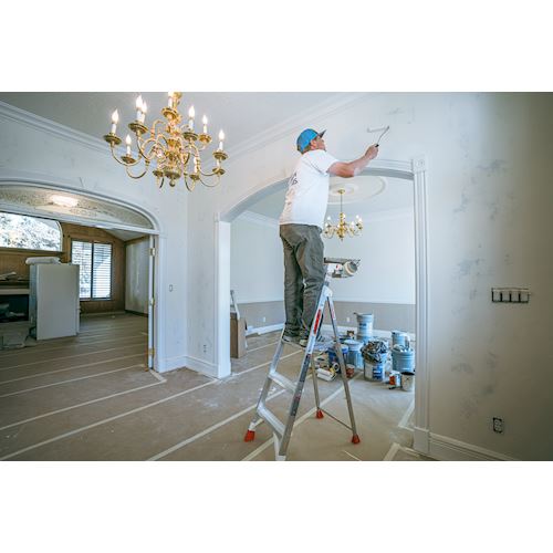 Little Giant® Paint Pro