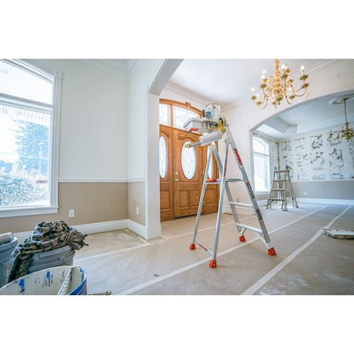 Little Giant® Paint Pro