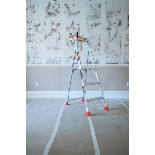 Little Giant® Paint Pro